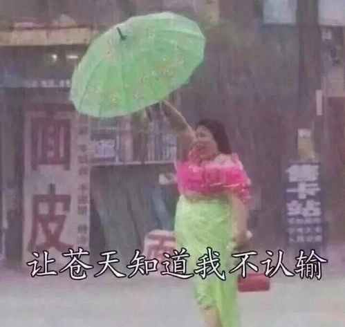 榆树天气预报（榆树天气预报几点下雨）