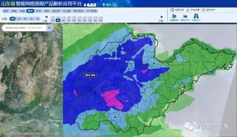 山东聊城天气预报（山东聊城天气预报30天）