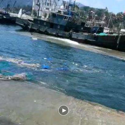台风路径预测（台风路径预测准确吗）