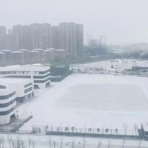 烟台天气预报30天准确（烟台天气预报30天准确 一个月）