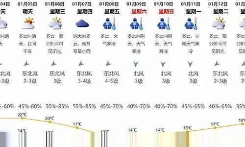 今天天气预报15天（今天天气预报15天天气）