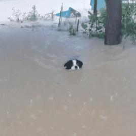 郑州特大暴雨（郑州特大暴雨调查报告全文）