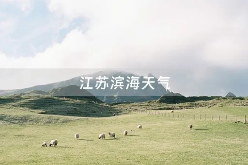 滨海天气预报十五天（江苏滨海天气预报十五天）