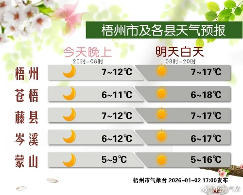 未来天气一周（未来天气一周芒市）