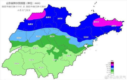 山东聊城天气预报（山东聊城天气预报40天查询）