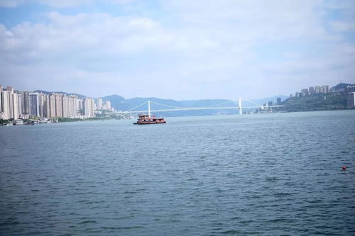 万州天气预报（万州天气预报查询）