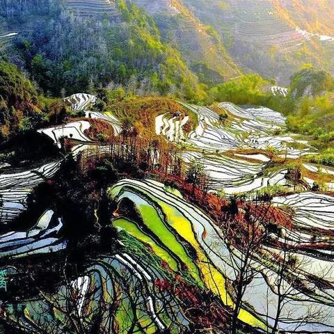 彩云天气（彩云天气实时查询）