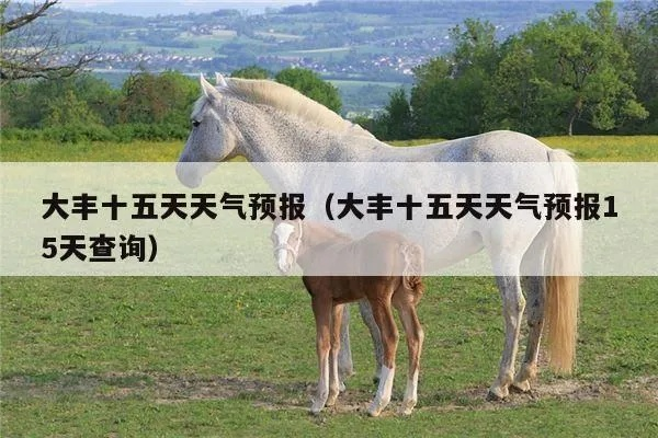 大丰天气预报（大丰天气预报7天查询）